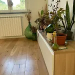 Casa Elogi 3*