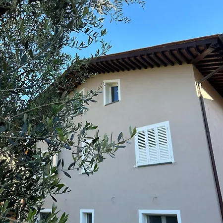 Casa Elogi بيت ضيافة Buti